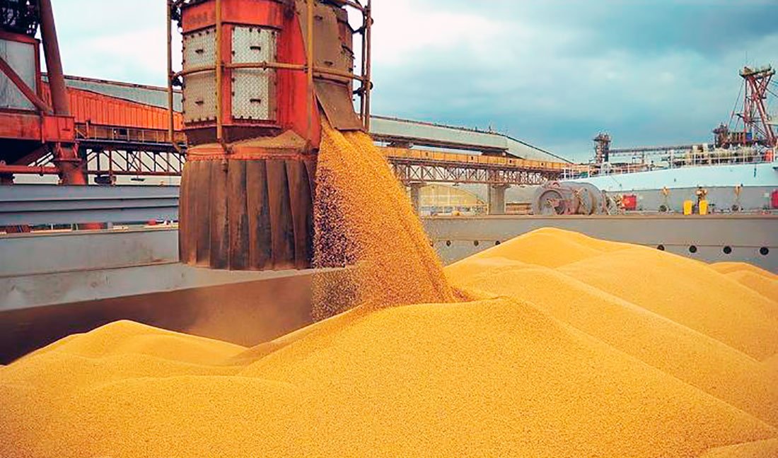 Demanda do milho em Mato Grosso aumenta impulsionada pelas exportações