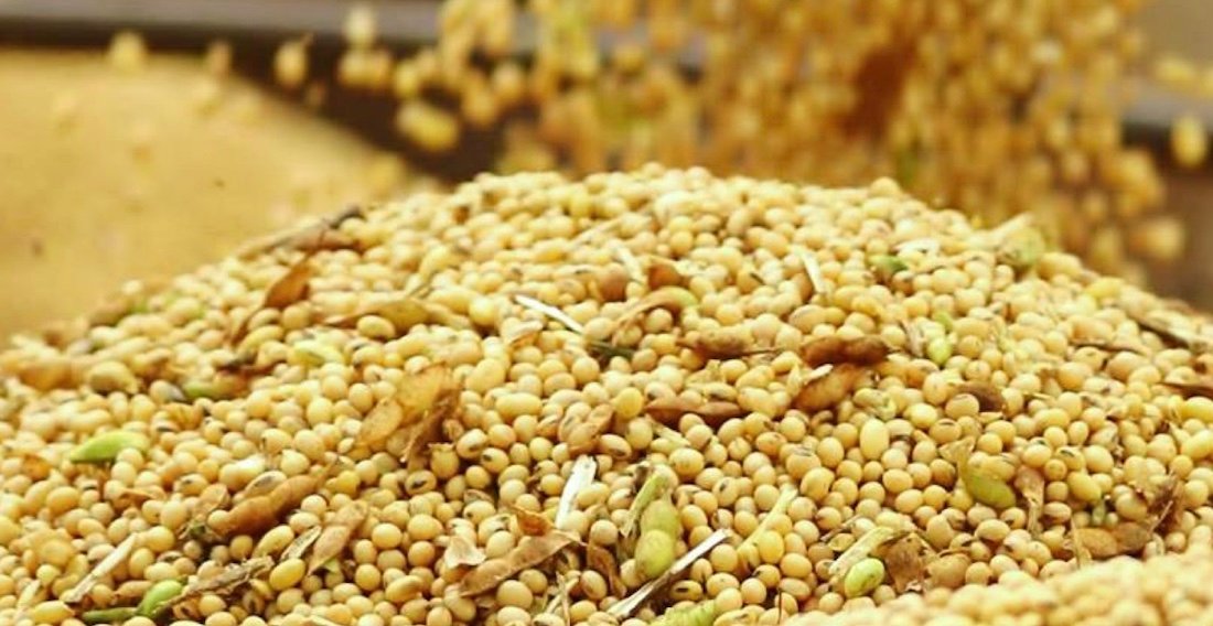 Preço da soja disponível em Mato Grosso tem alta e média fica em R$ 119