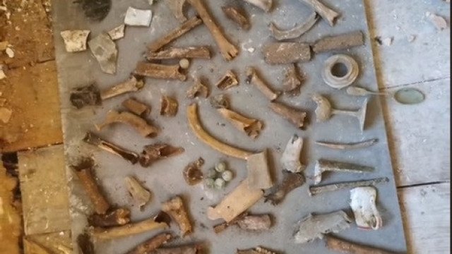 Remodelador descobre ossadas em casa de campo centenária