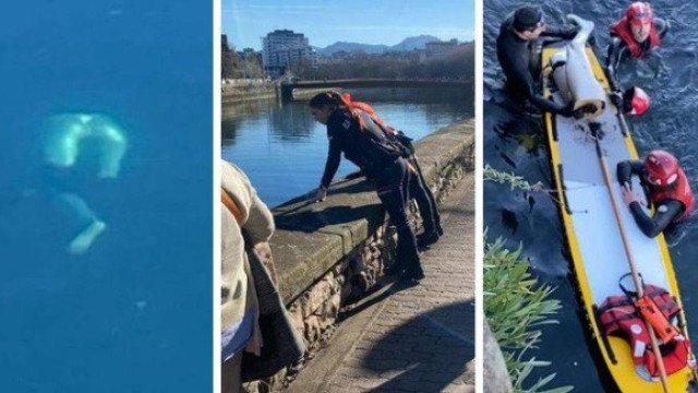 Falso alarme em San Sebastián: pernas a boiar no rio eram de manequim