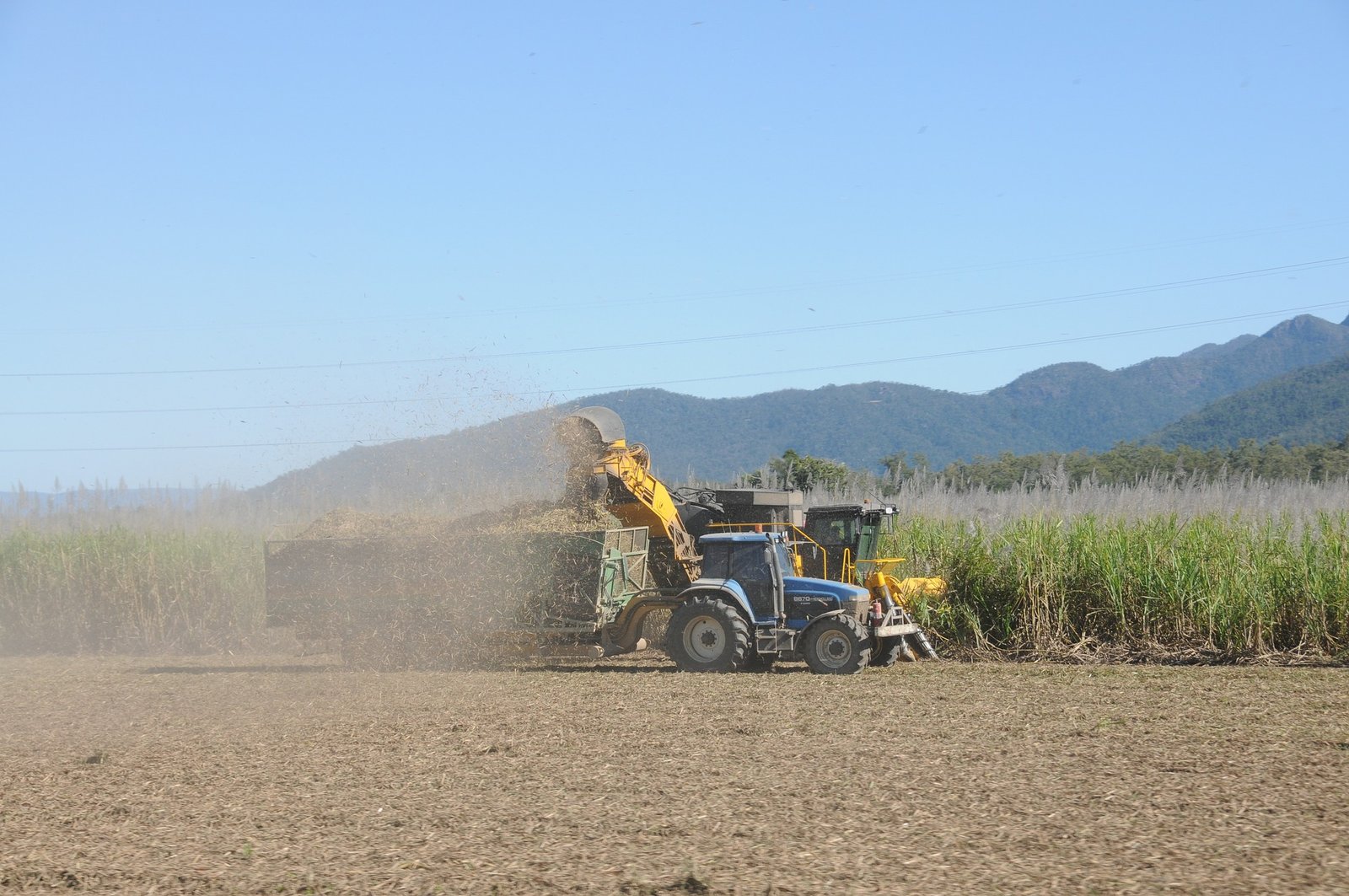 Planejamento da colheita é a melhor alternativa técnico-econômica para a cana-de-açúcar