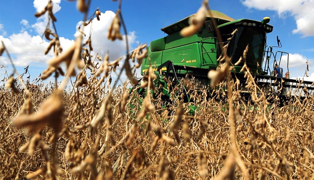 Soja disponível em Mato Grosso tem menor cotação em 3 anos; projeção não é otimista