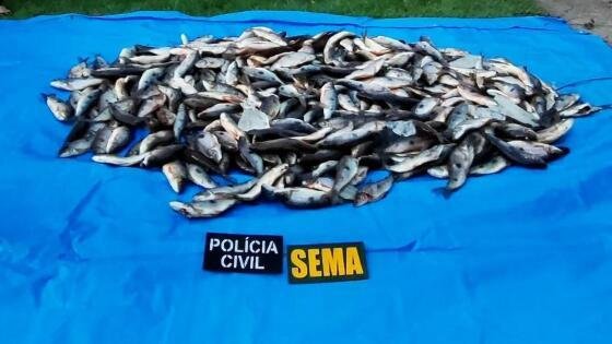 Sema apreende 220 quilos de peixes em operação contra pesca ilegal em Guarantã do Norte