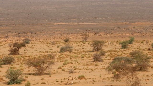 Cientistas revelam mistérios de duna milenar do Saara que se move pelo deserto