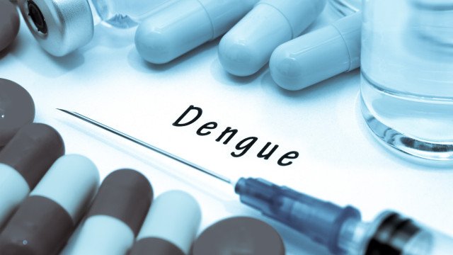 Brasil tem quase mil mortes por dengue em investigação