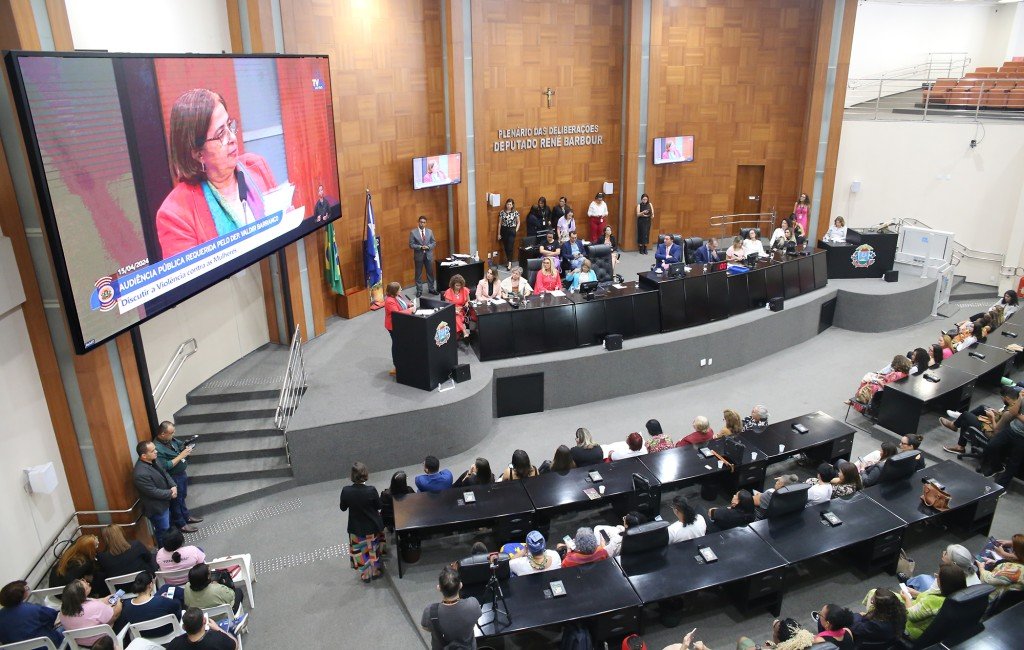 Audiência pública com ministra das Mulheres debate violência de gênero
