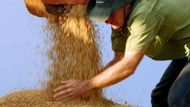 Umidade prejudica finalização de colheita de soja no RS e afeta qualidade e custos