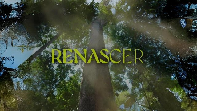 ‘Renascer’ bate recorde na Globo e vira a novela de maior sucesso comercial da história