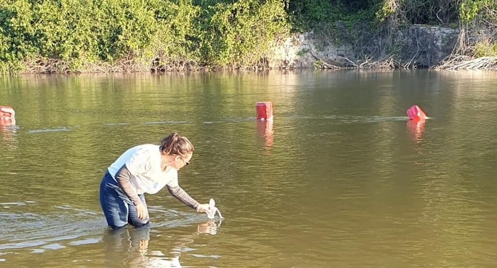 Sema analisará rios em Guarantã do Norte e mais 3 cidades para avaliar se são próprios para banho