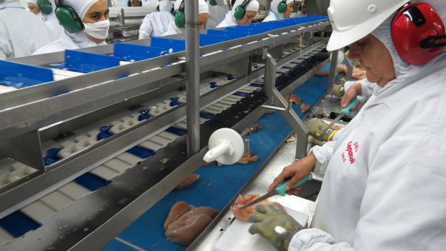 Newcastle: suspensão preventiva de exportação de frango diminui para 42 mercados