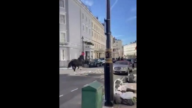 Cavalos militares tumultuam as ruas de Londres pela segunda vez; assista