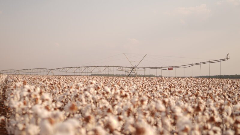 Congresso Brasileiro do Algodão destaca os benefícios das tecnologias de irrigação