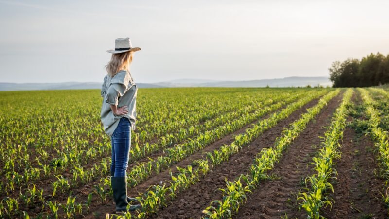 Virtueyes reforça o protagonismo feminino e se une a grandes marcas para transformar o agro