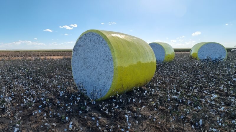 Nortène leva sustentabilidade e tecnologia ao Top Farmers