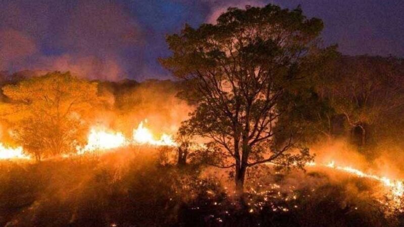 Queimadas deixam rastro de destruição por três biomas em Mato Grosso