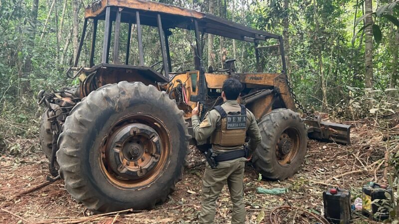 Operação Escudo Verde combate extração ilegal de madeira no norte de Mato Grosso