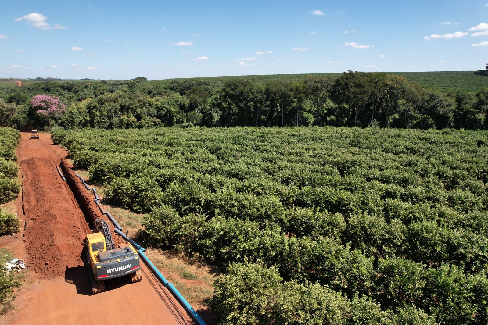 Com parceria, gigantes da citricultura vão irrigar 2.400 hectares