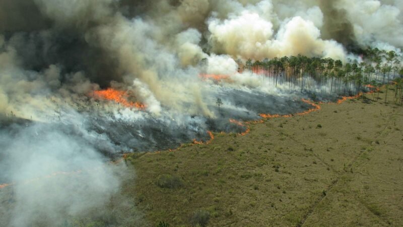 Incêndios geram impactos dentro e fora do agro