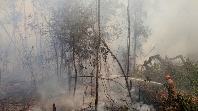 Em dez dias, pantanal registra o dobro do total de incêndios de setembro de 2023