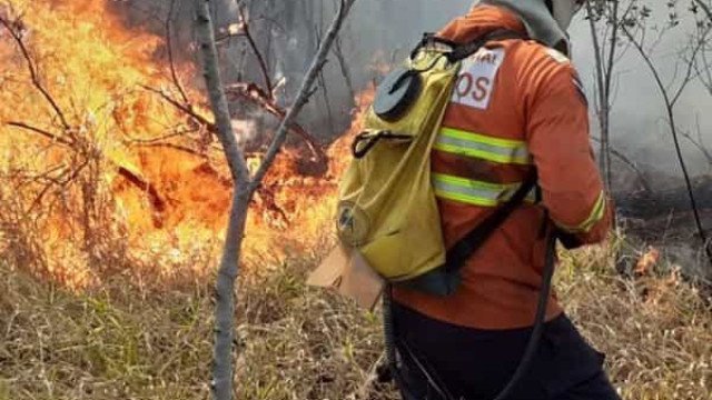 Governo Lula quer pena de até 18 anos de prisão para quem provocar incêndio florestal