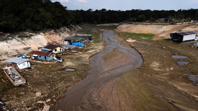 Árvores da amazônia sofrem estresse hídrico na estação seca mesmo sem perder as folhas