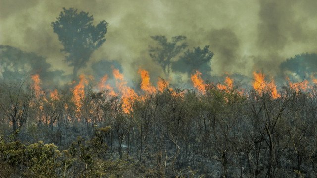 Dino determina que estados da Amazônia expliquem focos de queimadas