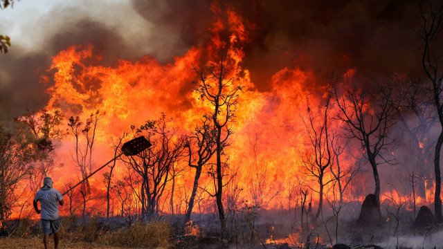 Incêndio atinge Parque Nacional de Brasília, e presidente do ICMBio aponta indícios de crime