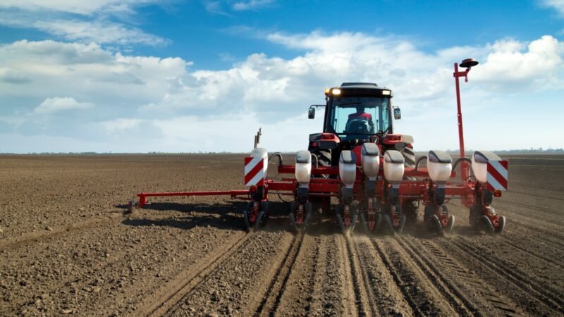 Falta de chuvas obriga muito produtor a rever estratégias de plantio