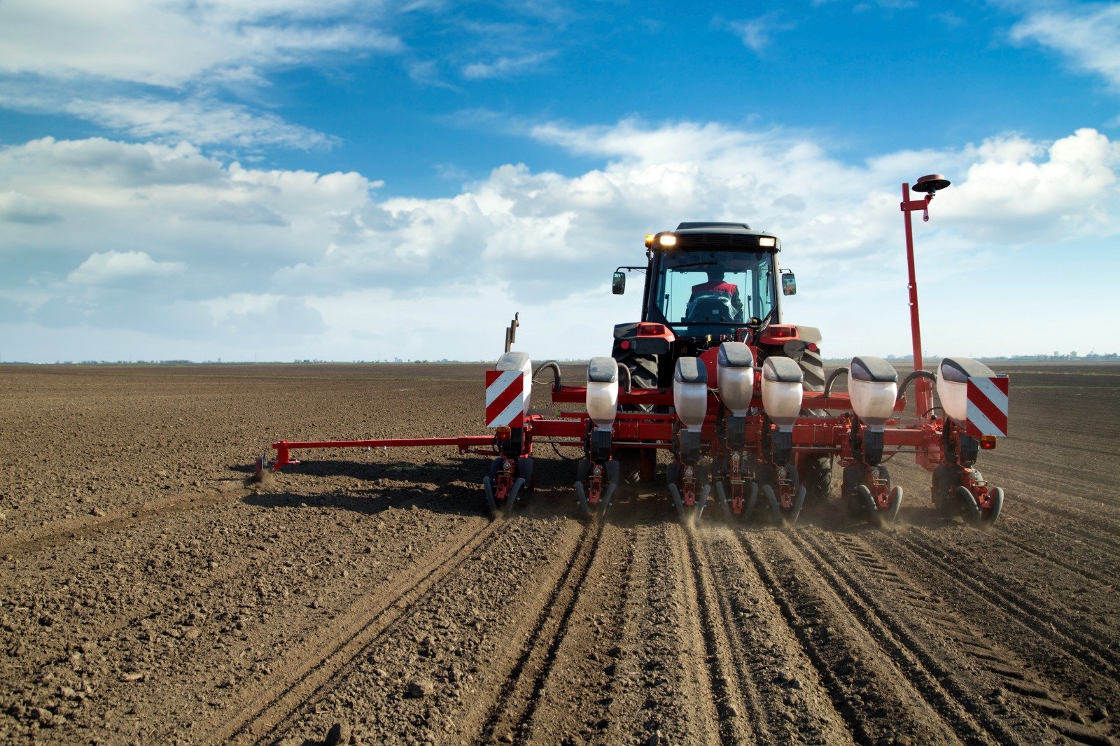 Falta de chuvas obriga muito produtor a rever estratégias de plantio