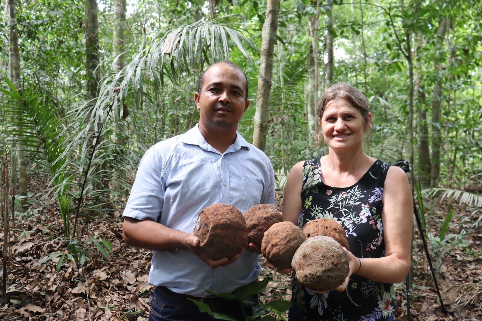 Extrativistas e indígenas são favorecidos com projeto de beneficiamento de castanha na região noroeste de Mato Grosso