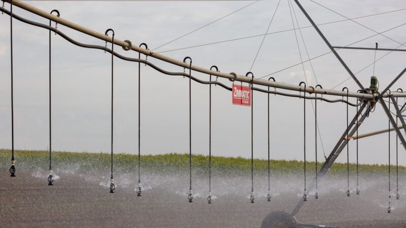 Agricultura paulista ganha incentivo inédito para alavancar irrigação