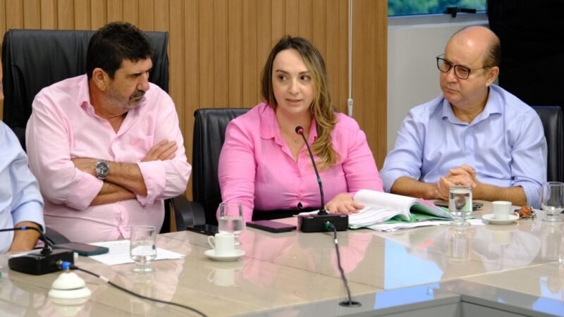 Deputado reforça necessidade de mais recurso para ampliar infraestrutura de creches em MT