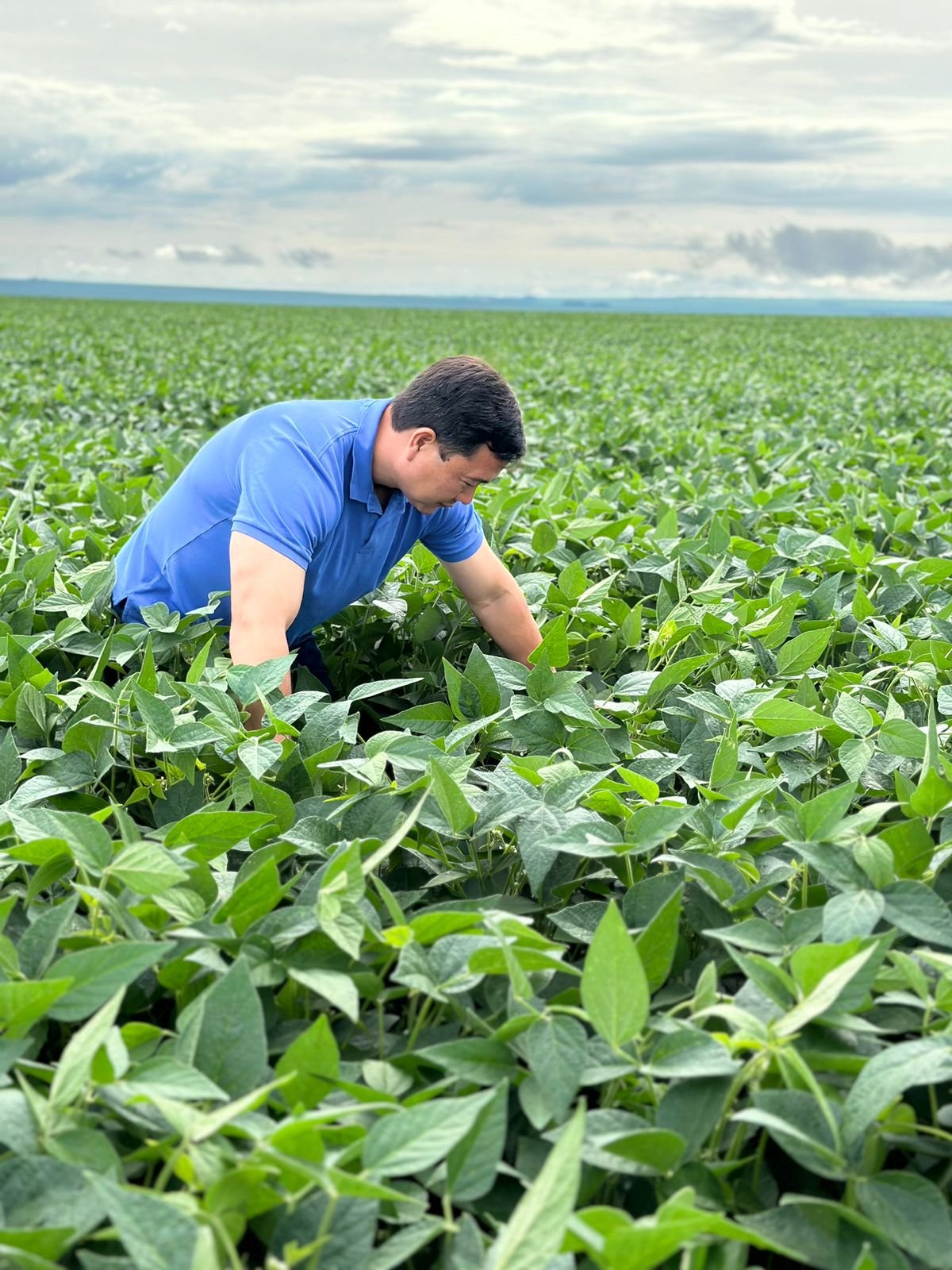 Conheça a estratégia do campeão nacional de produtividade no milho