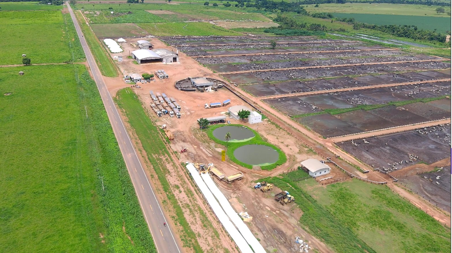 TJMT reconhece recurso da Amaggi, autoriza arresto de milho, gerando prejuízos à Ramax e aos animais