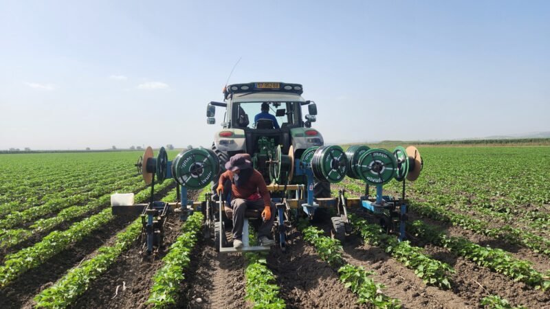 Água é um dos desafios globais da agricultura