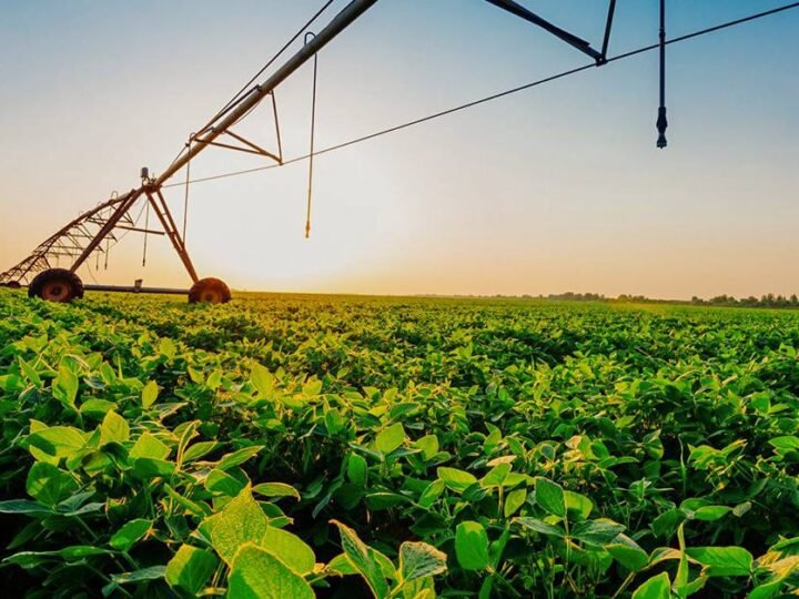 Os desafios da energia elétrica na instalação de pivôs de irrigação