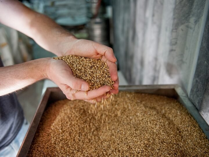 IA avançada ajuda a garantir a qualidade da cerveja brasileira