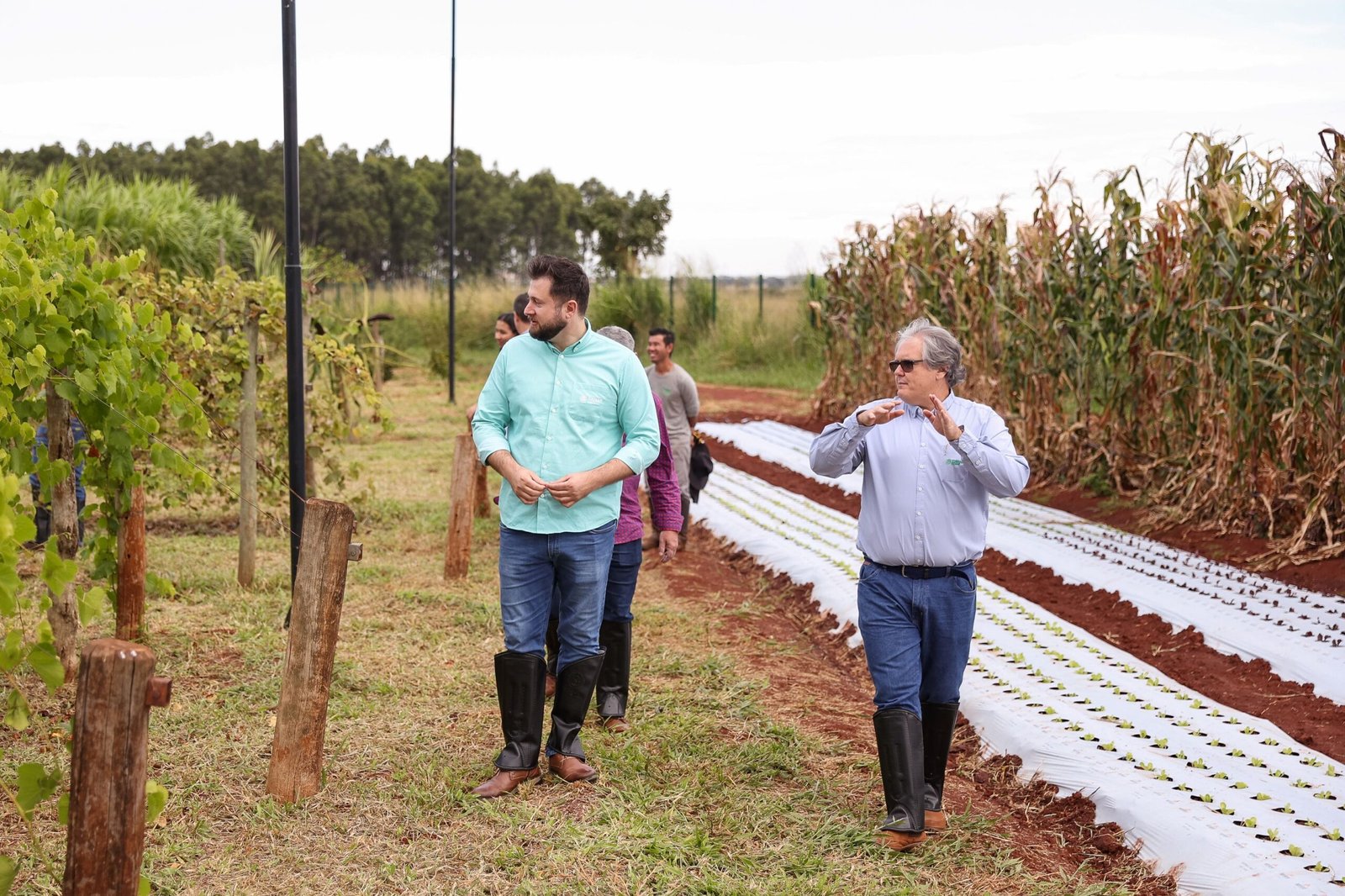 Senar/MT faz visita técnica ao Centro de Excelência Bovinocultura de Corte em Campo Grande