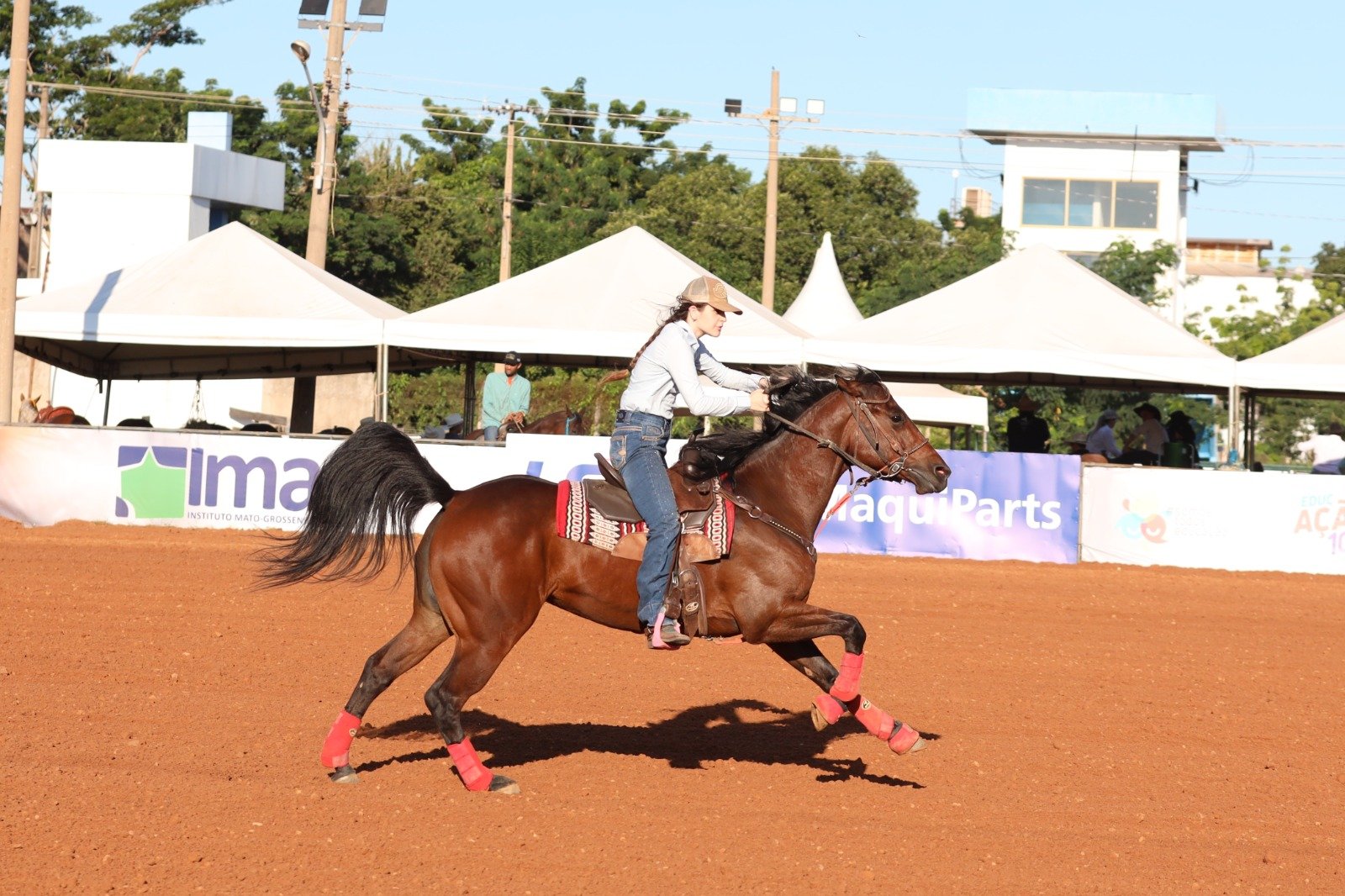 12ª Semana do Cavalo reúne mais de 220 mil pessoas e movimenta o setor agropecuário em Cuiabá