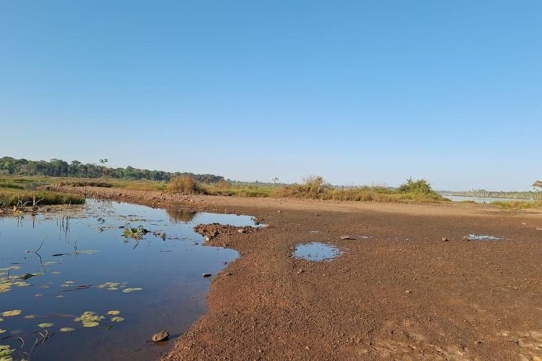 Wilson Santos cobra explicações sobre impactos da UHE Colíder na pesca e no turismo