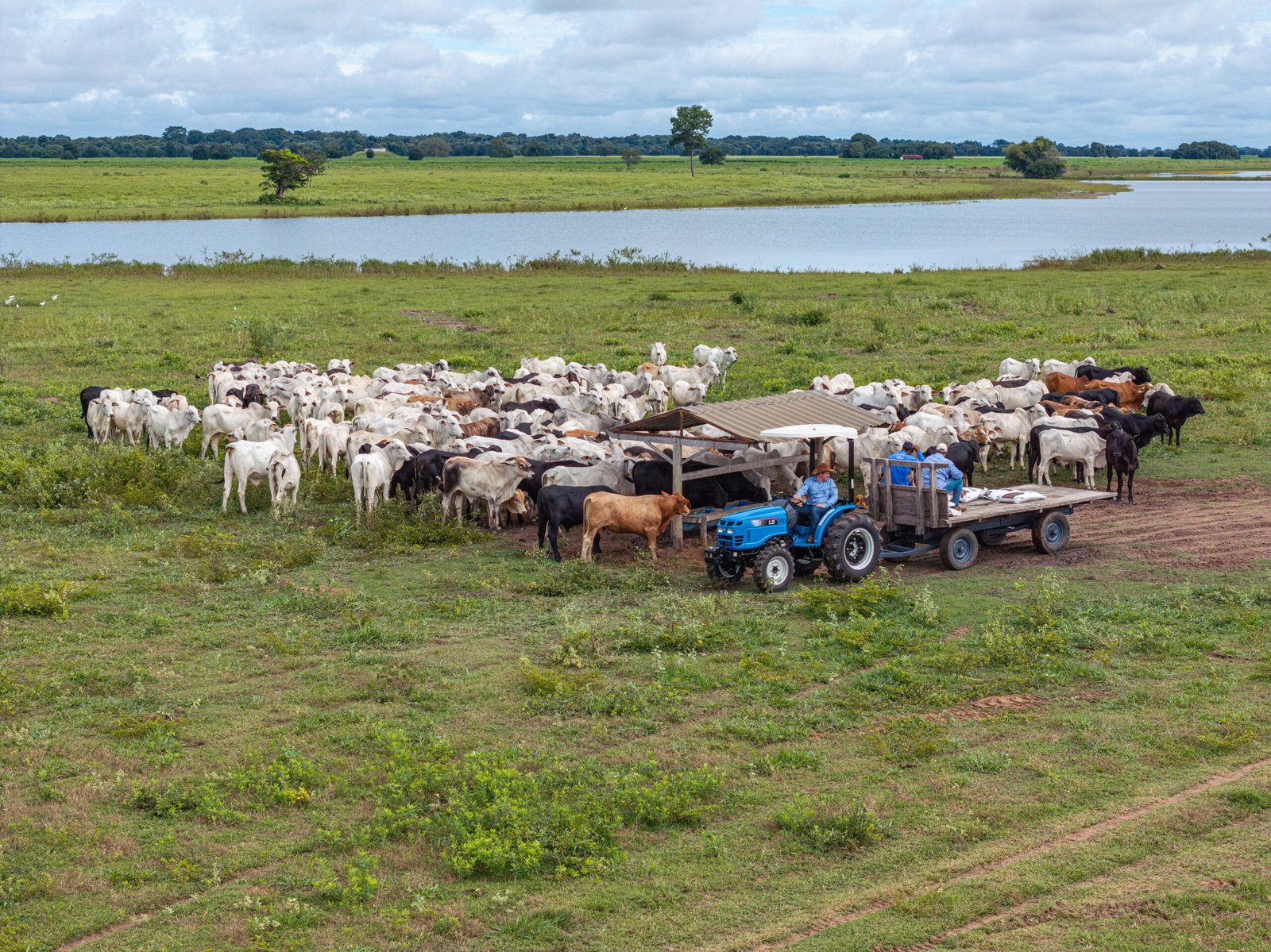 Tratores projetados para as demandas da pecuária moderna estarão na 48º Expointer