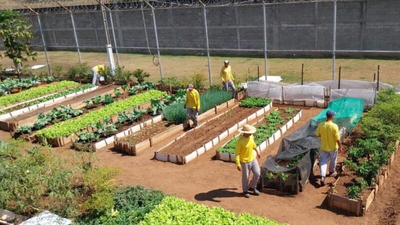 Oficinas em unidades prisionais ofertam trabalho e oportunidades de qualificação a reeducandos em MT