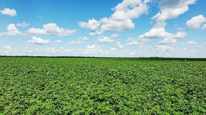 A busca pela estabilidade climática começa no solo