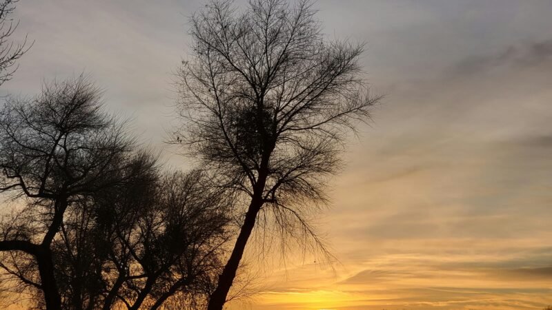 Crianças no centro do debate sobre a mudança climática na CLDF