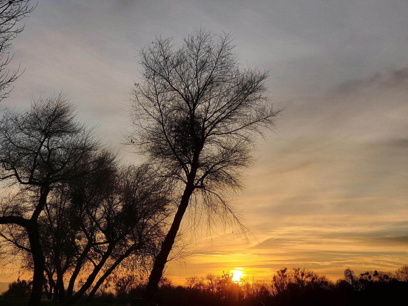 Crianças no centro do debate sobre a mudança climática na CLDF