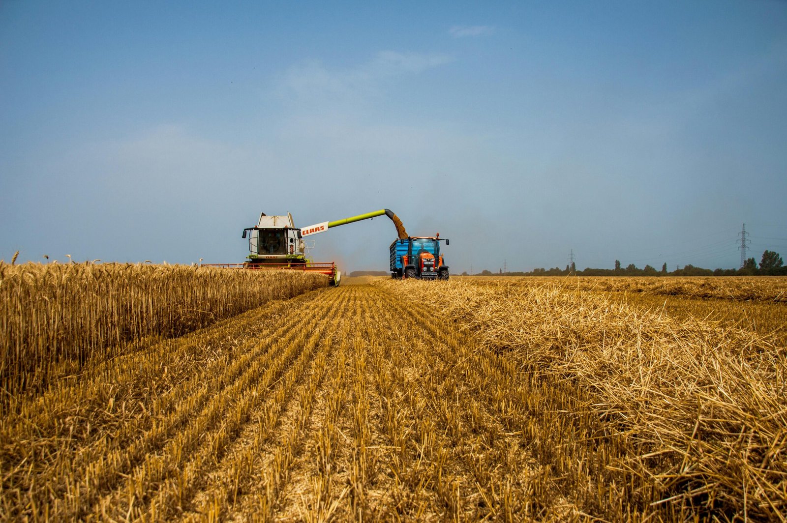Chuvas impulsionam início do plantio de soja no Brasil, mas produtores seguem atentos ao clima