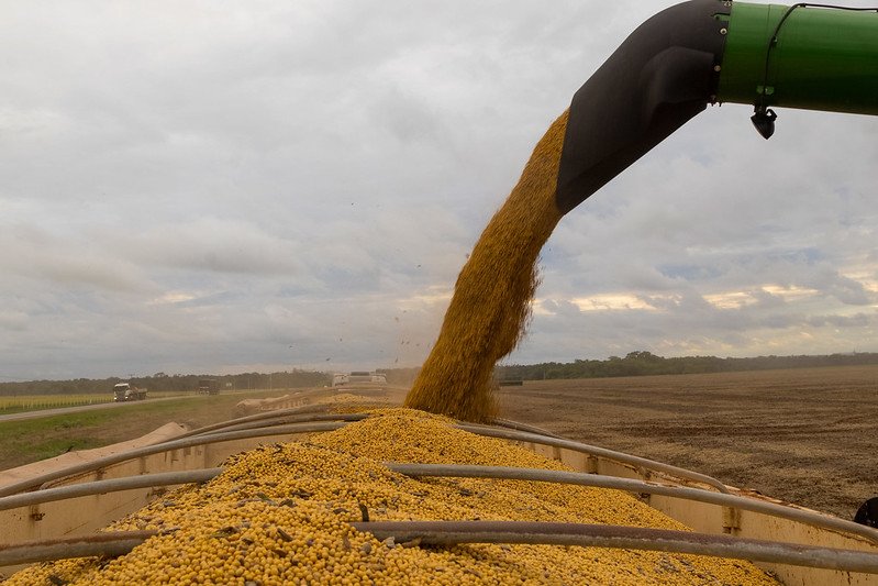 Cade decide manter Moratória da Soja até o fim do ano e Famato recebe decisão com alívio
