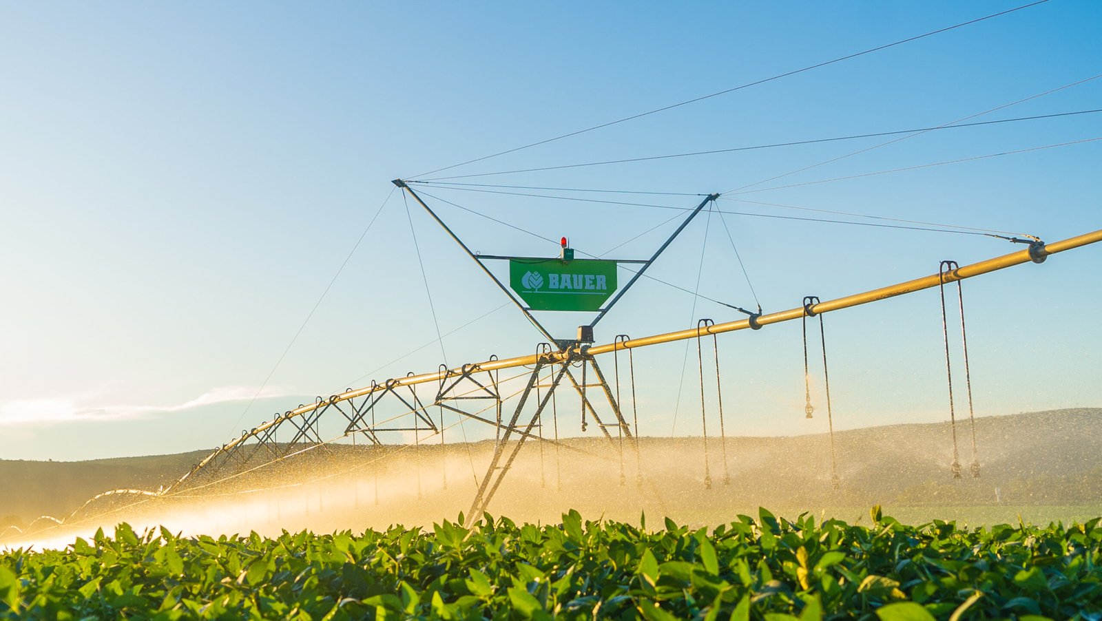 Bauer amplia série de guias sobre irrigação e lança volume dedicado a soja