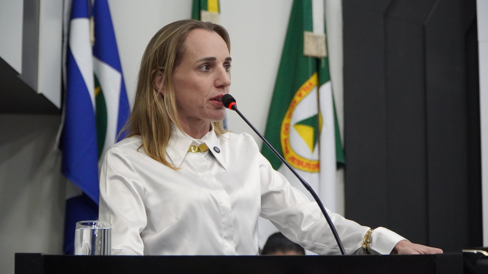 Katiuscia Manteli destaca consenso que reduziu perdas com adicional de insalubridade e elogia diálogo entre Câmara e Prefeitura