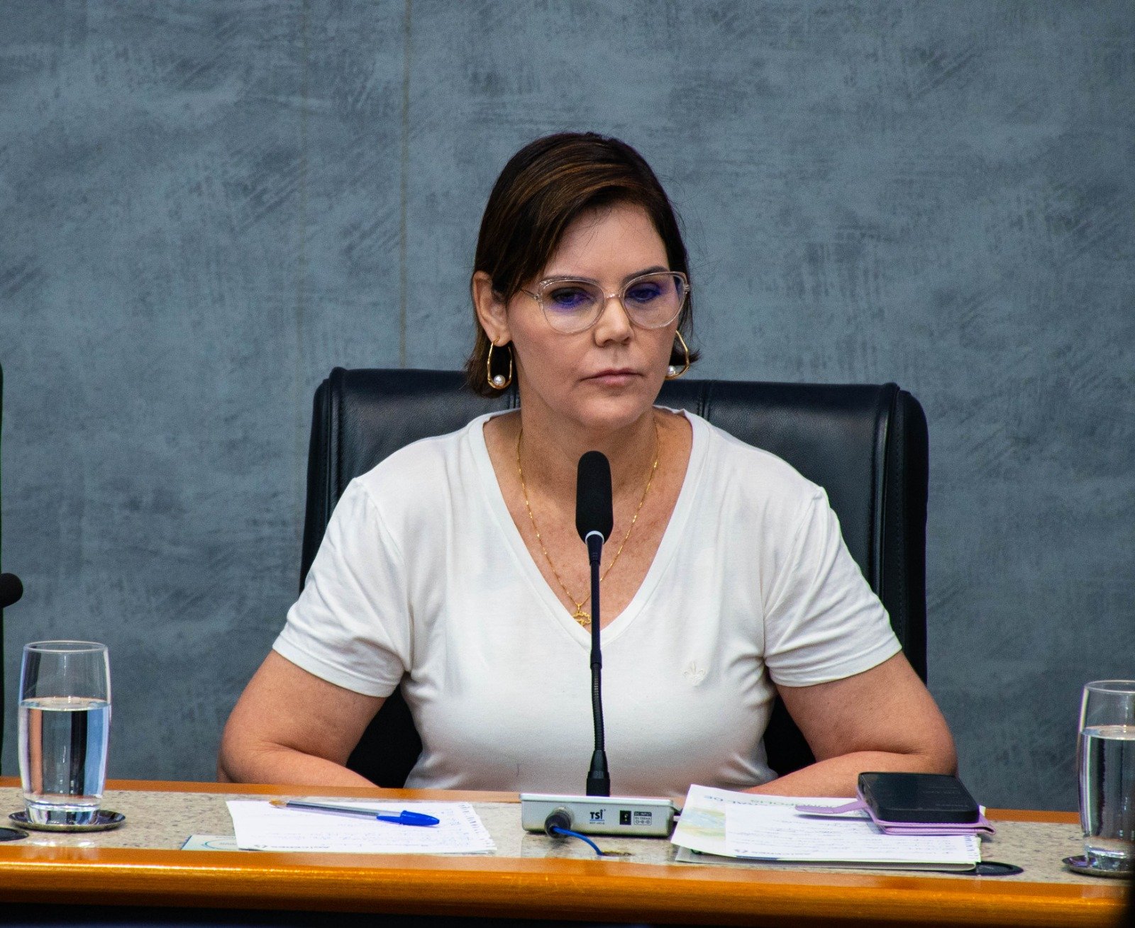 Coronel Fernanda lidera reunião para definir projetos e ações estruturantes para emendas de bancada em 2026